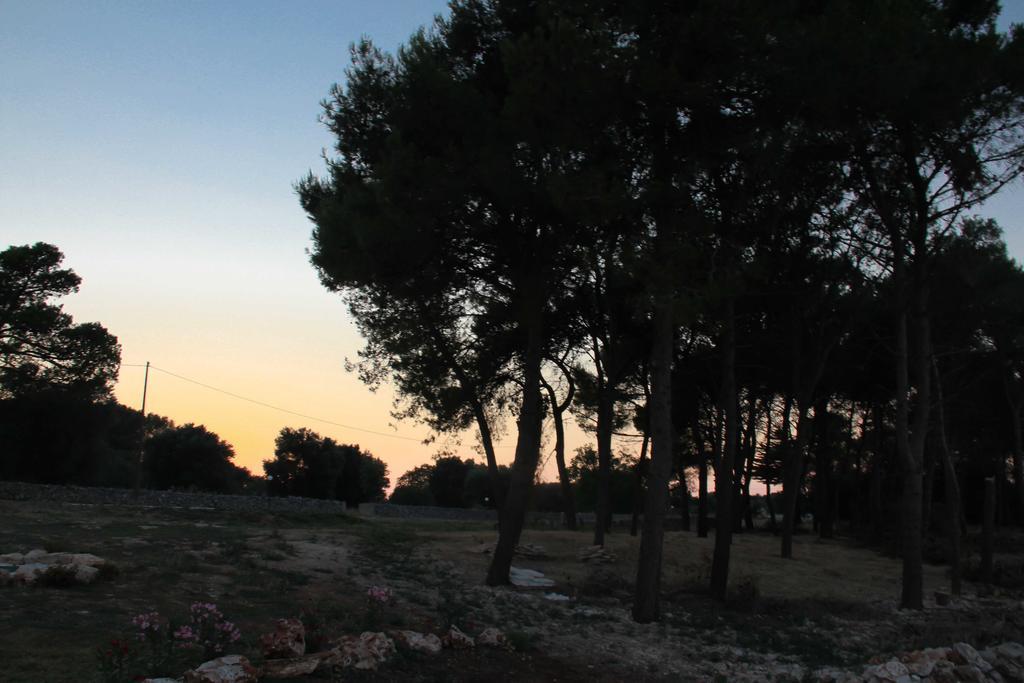 B&B Masseria Nuove Caselle Villa Castelli Exterior photo